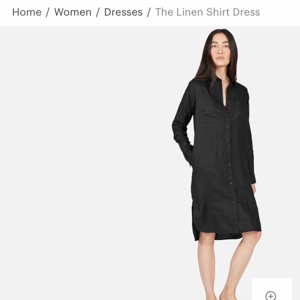 Everlane Linens Shirt Dress